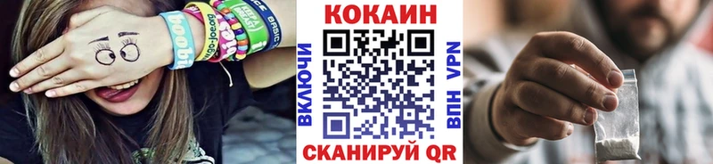 купить наркотик  Сухой Лог  COCAIN Fish Scale 