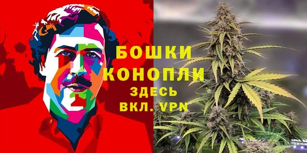 ALPHA PVP Осинники