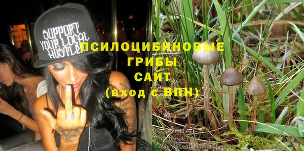 экстази Осташков