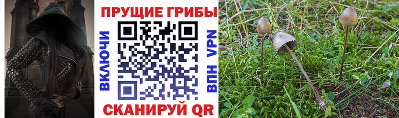 Галлюциногенные грибы Magic Shrooms  omg сайт  Сухой Лог 