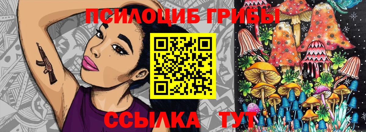 купить   Вход с VPN  Сухой Лог  Галлюциногенные грибы GOLDEN TEACHER 
